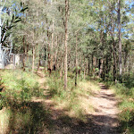 Track between Colin Watters Lookout and the tower (235580)