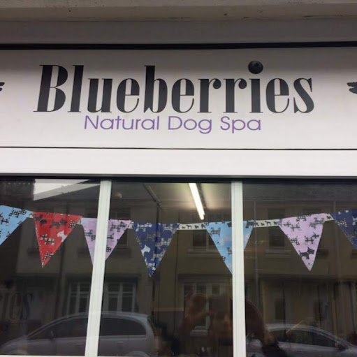 Blueberries Natural Dog Spa