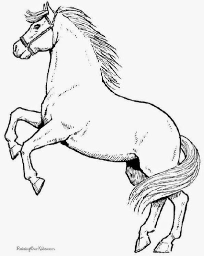 Printable Horse Coloring Pages