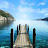 Muhd Amin avatar image
