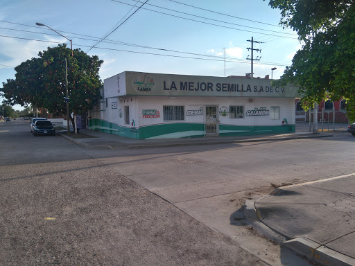 La Mejor Semilla, 81460, Enrique Dunant 674, Morelos, Guamúchil, Sin., México, Proveedor de semillas | SIN