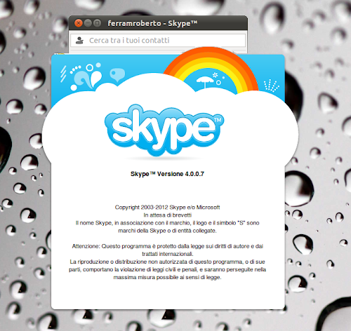Skype 4.0 su Ubuntu