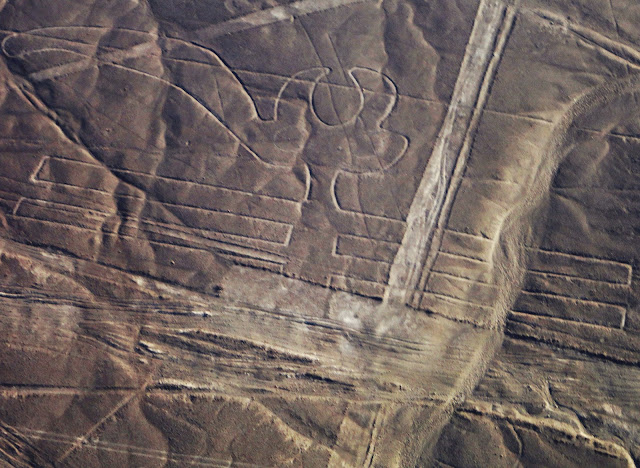 Las líneas de Nazca - El loro/papagayo - HistoriadelasCivilizaciones.com