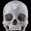 Cristall Skull's user avatar