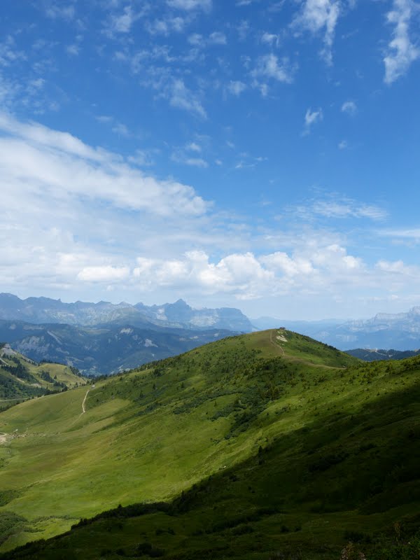 Randonnées dans le Mont-Blanc [FZ-150] P1050516
