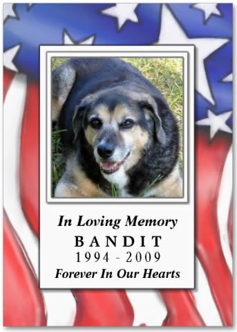 Red White Blue USA Flag Pet Memorial Card with Prayer for Pets on the Back