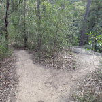 Fork in the Red Hands Cave track (145437)