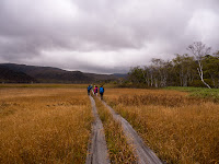 Национальный парк Одзэ, болота