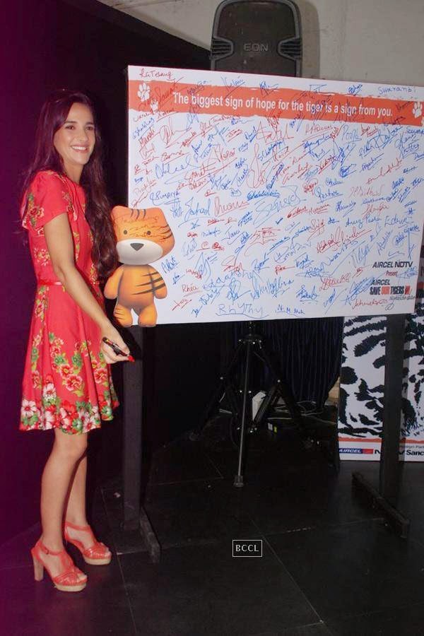 Tara Sharma during the Save Our Tigers, campaign, on the World Tiger Day in Mumbai,  on July 29, 2014. (Pic: Viral Bhayani)<br /> 
