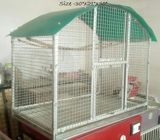 Vedant Lovebirds & Cages., MIDC,, VHB Colony, Midc Phase 2, MIDC, Akola, Maharashtra 444004, India, Pet_Shop, state MH
