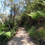 Following the path from Echo Point (92470)