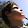 Diógenes Ferreira Diógenes Ferreira's profile photo