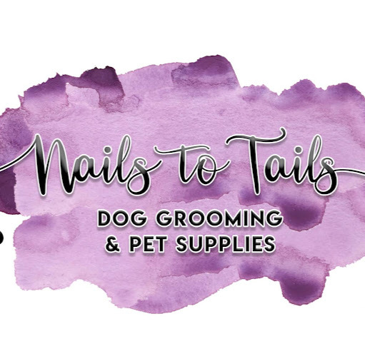 Nails To Tails Ltd