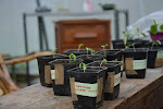 L'assemblée générale des résidents (ADCR) a monté un projet de jardin collectif à la Cité internationale
Espace multi-fonctionnel à porté environnementale et pédagogique, ce jardin est également un espace de rencontre et de partage autour d'activités socio-culturelles (jardinage, barbecue, zone de travail, concert en plein air etc...).