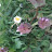 Dayna Waller avatar image