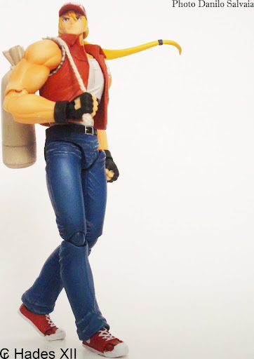 [REVIEW] The King Of Fighters 94 - Terry Bogard D-arts -  by Hades XII DSCI9769