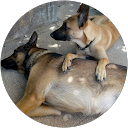 Image Google de Karyn Ducloux