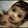 Pratheepa Soundaram Pratheepa Soundaram's profile photo