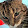 Terry Blastenbrei Terry Blastenbrei's profile photo