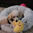 rolin sollars avatar image