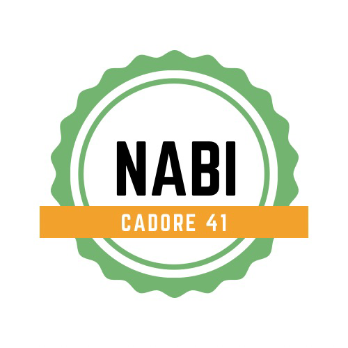 NaBi logo
