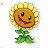 Patricia Player avatar image