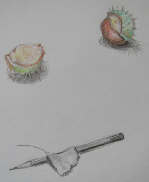 ann-sokolova-chestnuts-and-leaf-with-pencil