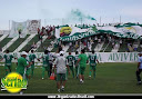 TORCIDA FORÇA ALVIVERDE