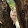 Daniel Pöllmann Daniel Pöllmann's profile photo
