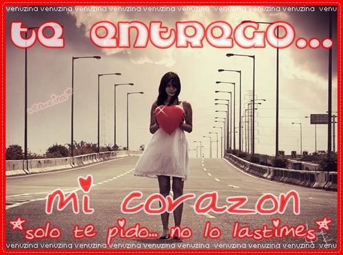 Cover photo
