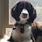 Nick Keba avatar image