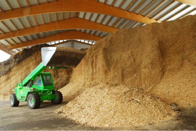 Scienziato Preoccupato: Centrali a biomasse: tutte illegali