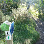 Golf Course loop track post (274292)