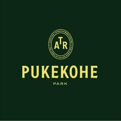 Pukekohe Park logo