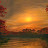 Joshua Shaliach avatar image