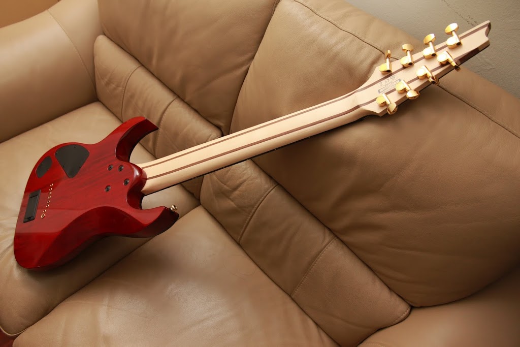 Ibanez RGIX28FEQM 8 Strings Iron Label