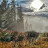 John Thomas avatar image