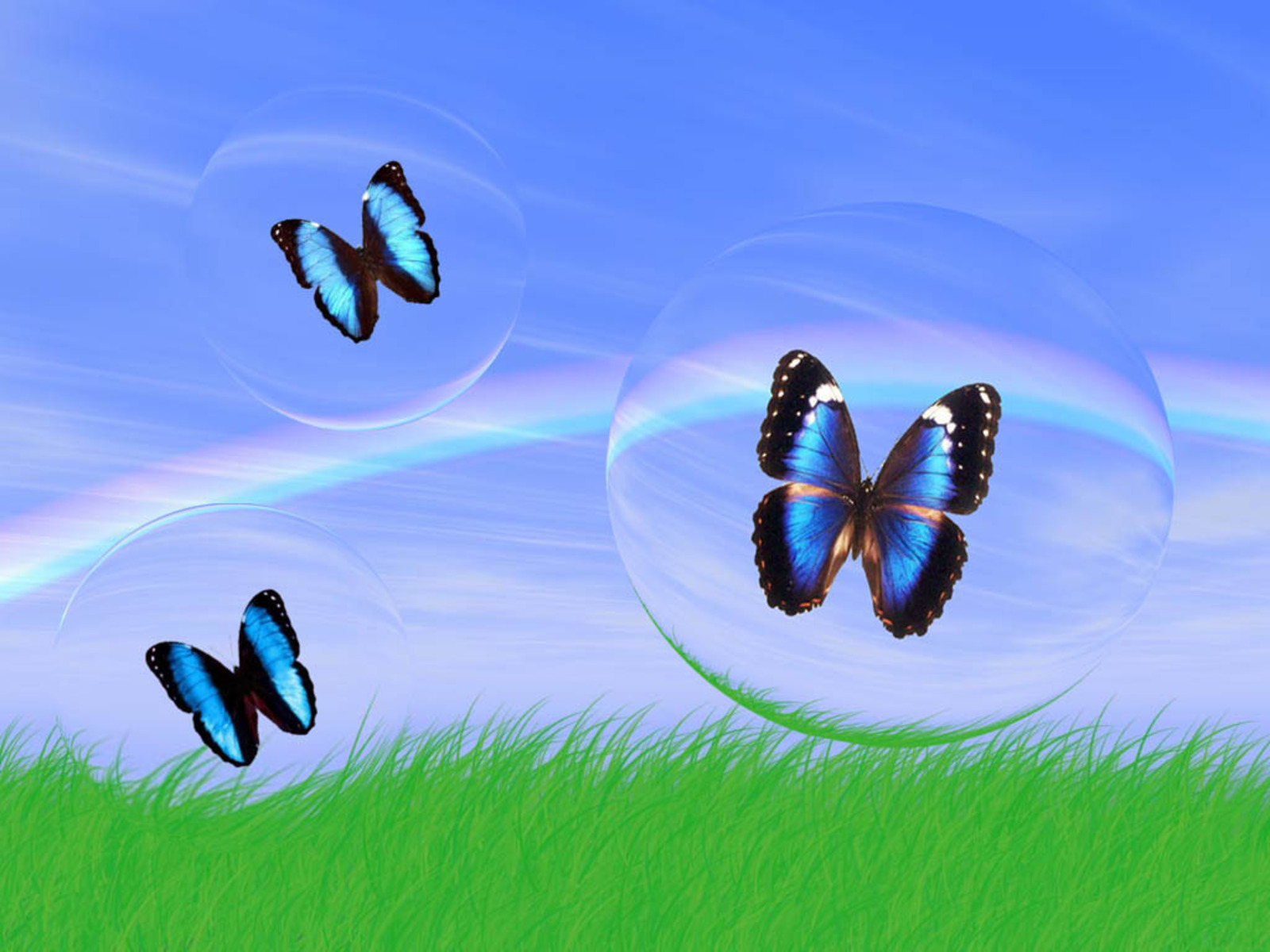 Про лета бабочка. Три бабочки. Сказка про бабочку для детей. Физминутки про бабочку.