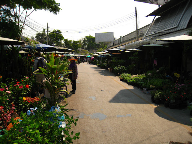 Тайланд Бангкок 2012 Рынок Чатучак IMG_3954