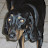 Kate Curtin avatar image