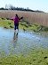 Flooded marshes at Iken