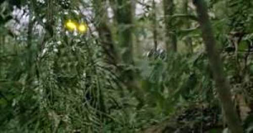 Ufo Sighting In Aguas Calientes Urubamba On July 29Th 2012 Alleged Ufo Appears In Photograph Taken At Machu Picchu