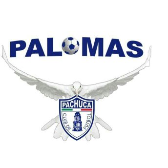 CEFOR TUZOS PALOMAS, Calle del Aluminio 223, Colinas de Plata, 42186 Pachuca de Soto, Hgo., México, Campo de fútbol | HGO