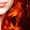 Laurie M Laurie M's profile photo