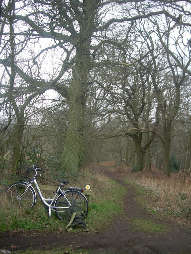 Entrance to West Briggs wood