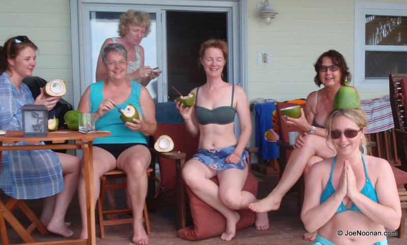 Fresh Coconuts!