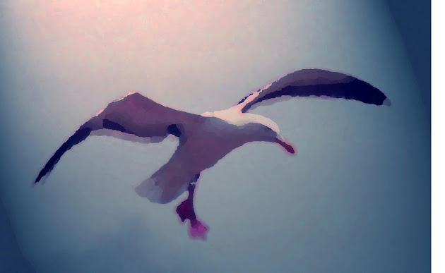 Cover photo