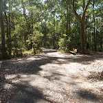 Wide sealed trail in the Blackbutt Reserve (400240)