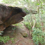 Small cave on Middle Harbour Track (121501)