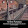 Jesus Gonzales Jesus Gonzales's profile photo